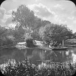 Bablock Hythe Ferry