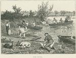 Swan-upping