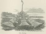 Nets drying