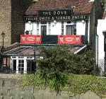 The Dove